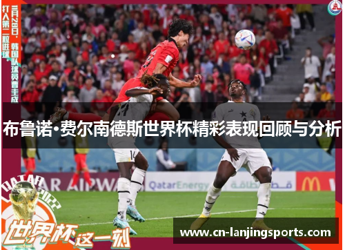 布鲁诺·费尔南德斯世界杯精彩表现回顾与分析